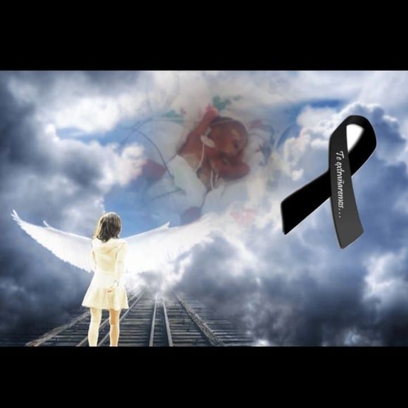 Meet your Posher, Adamaris - Picture 1 of 1